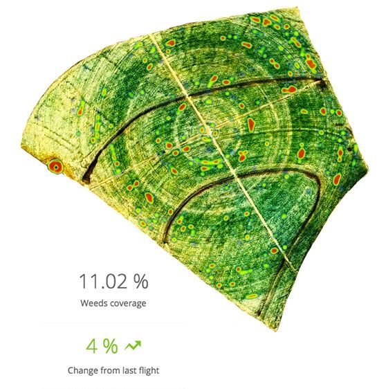 soybean-slide-1.jpg