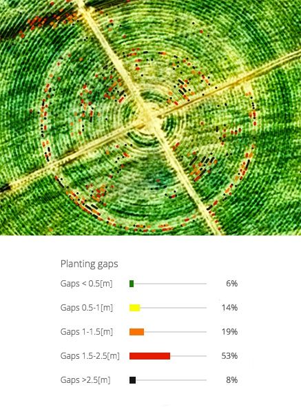 sugarcane-slide-1.jpg