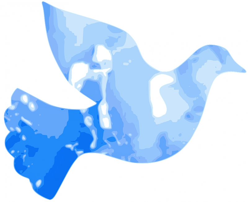 dove-35401_960_720.png