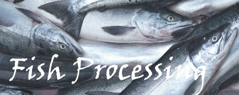 17-silv-sock127324395r1fish-procesing-1111.jpg