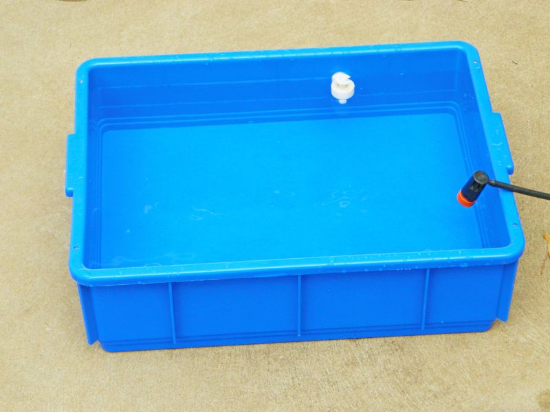 DSCN3305.jpg