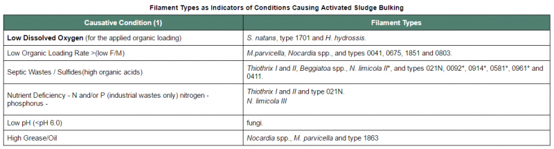 filamentous bacteria growth cause.png