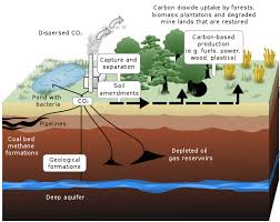 CP612 Carbon Capture in Water Industry