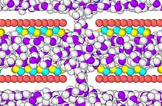 Molecular Insights into Desalination with GO Membranes