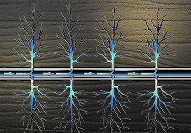 Hydraulic Fracturing Gives Rise To New Water-Treatment Technologies