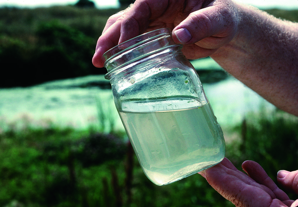 UBC Invention Uses Bacteria to Purify Water