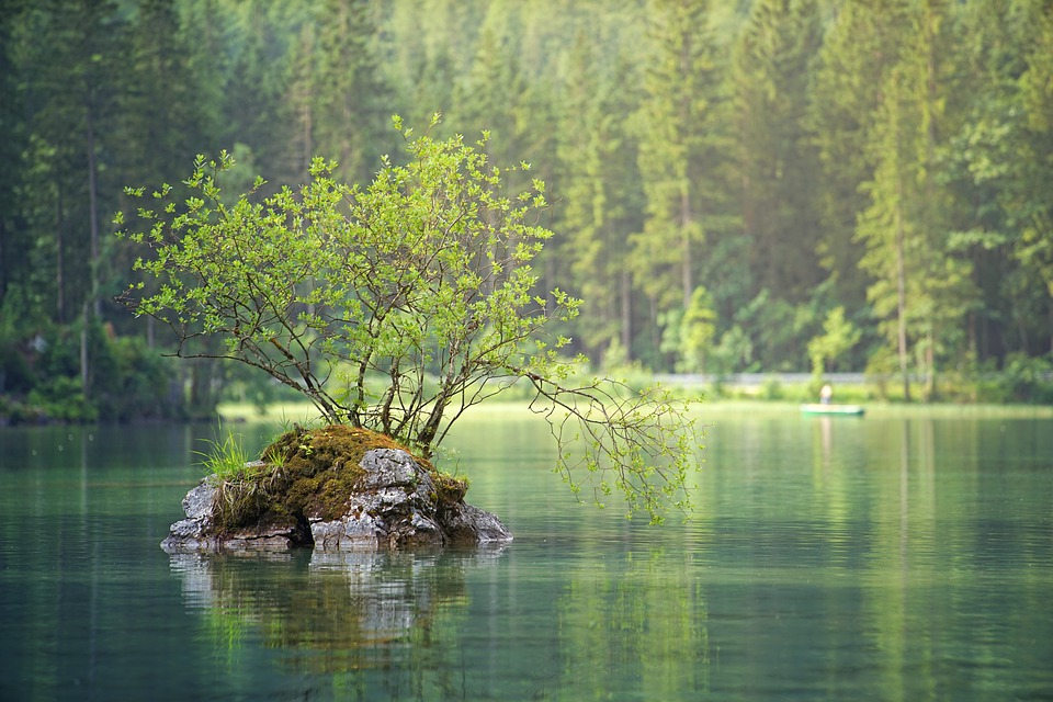 Just One-third of the World’s Longest Rivers Remain Free-flowing