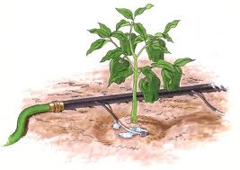 Better plastics can improve drip irrigation