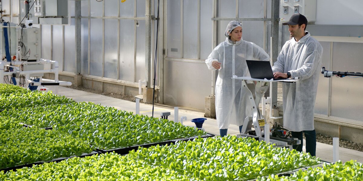 Amazon introduces Hippo Harvest’s first leafy greens line, grown with 92% less water