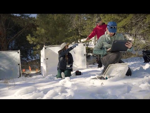 Research Team ​Monitors Snow ​Melt That Feeds ​Colorado ​Streams And ​Rivers