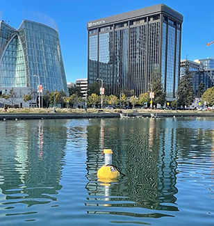 In-Situ Rugged Buoy