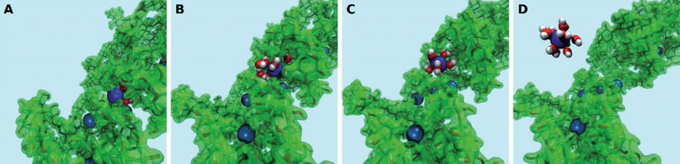 How Bio-Waste Materials Can Capture Heavy Metals in Water