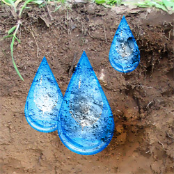 Soil Moisture Affects Afternoon Rains