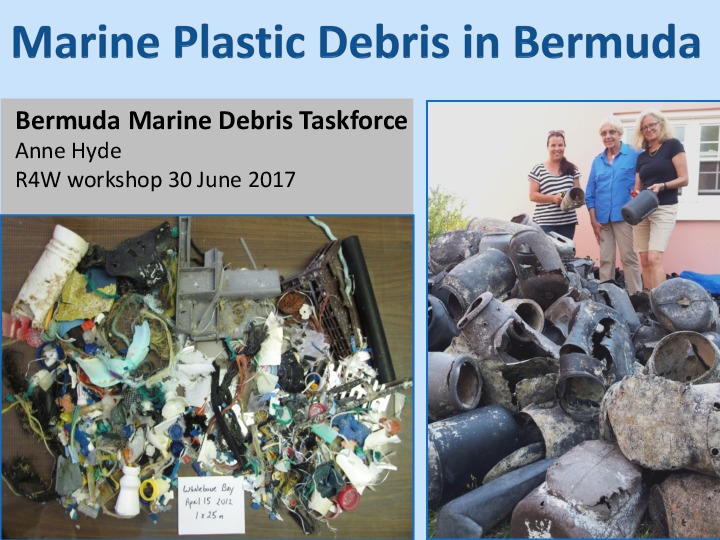 Bermuda Marine Debris Taskforce presentation - R4W workshop in Bermuda