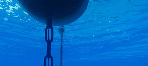 Smart Buoy for Measuring Water Pollutants