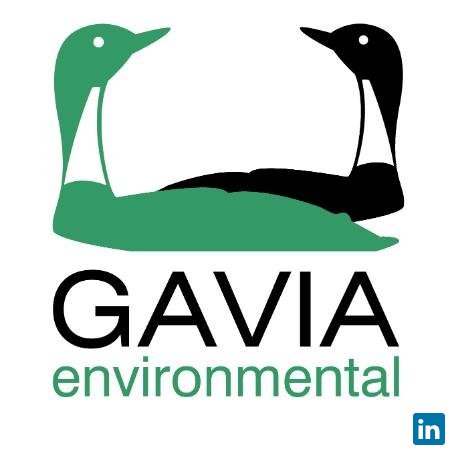 Gavia Environmental, Environmental Consultancy at Gavia Environmental Ltd