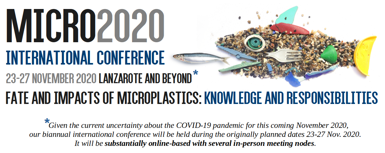 MICRO2020, Fate and Impacts of Microplastics: Knowledge and Responsibilities