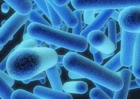 7 Dead 86 Infected by Cooling Tower Bacteria