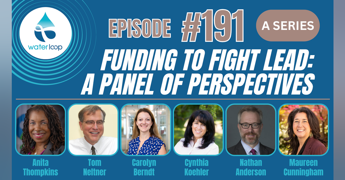 #191: Funding To Fight Lead: A Panel Of Perspectives