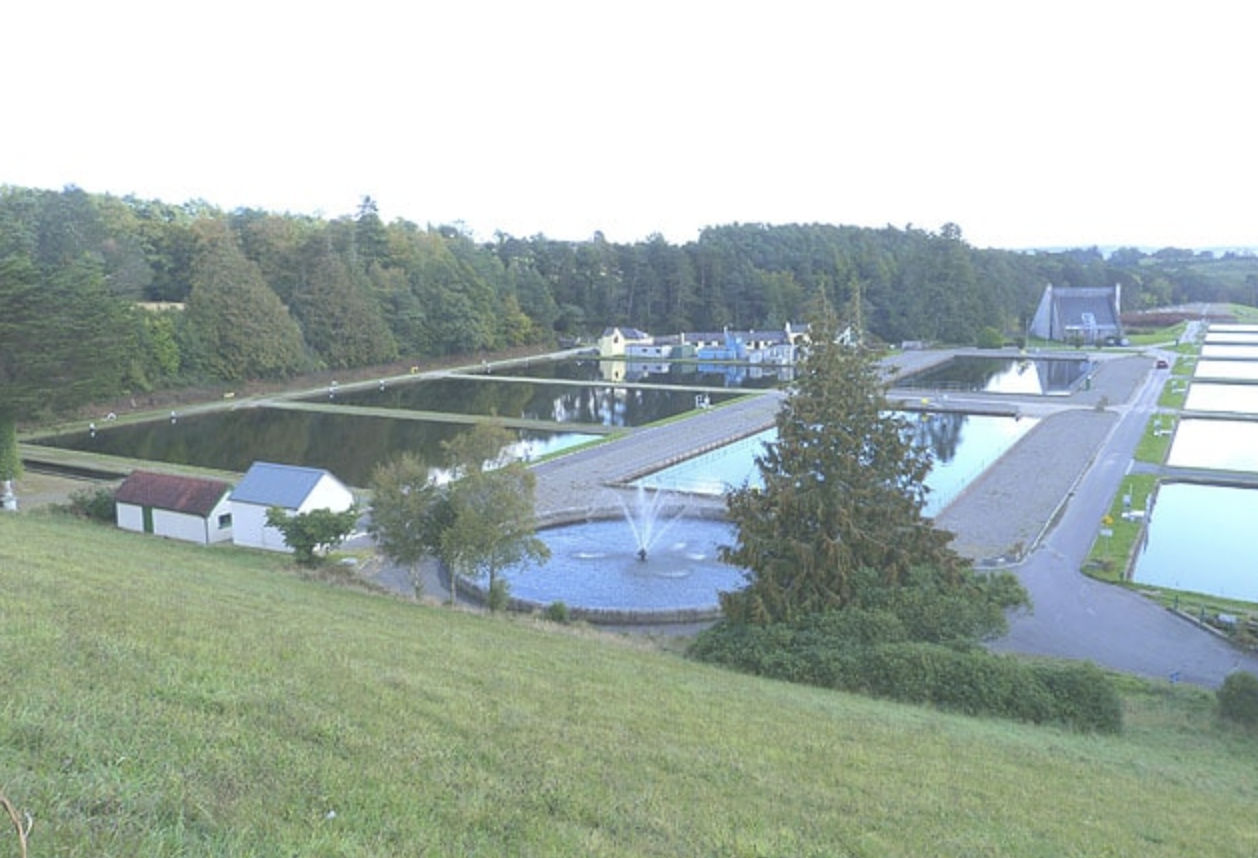 Reusable nanofiber membrane filters water sustainably