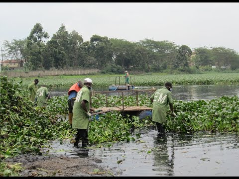 Nairobi Dam Water Treatment & Purification Project (Video)