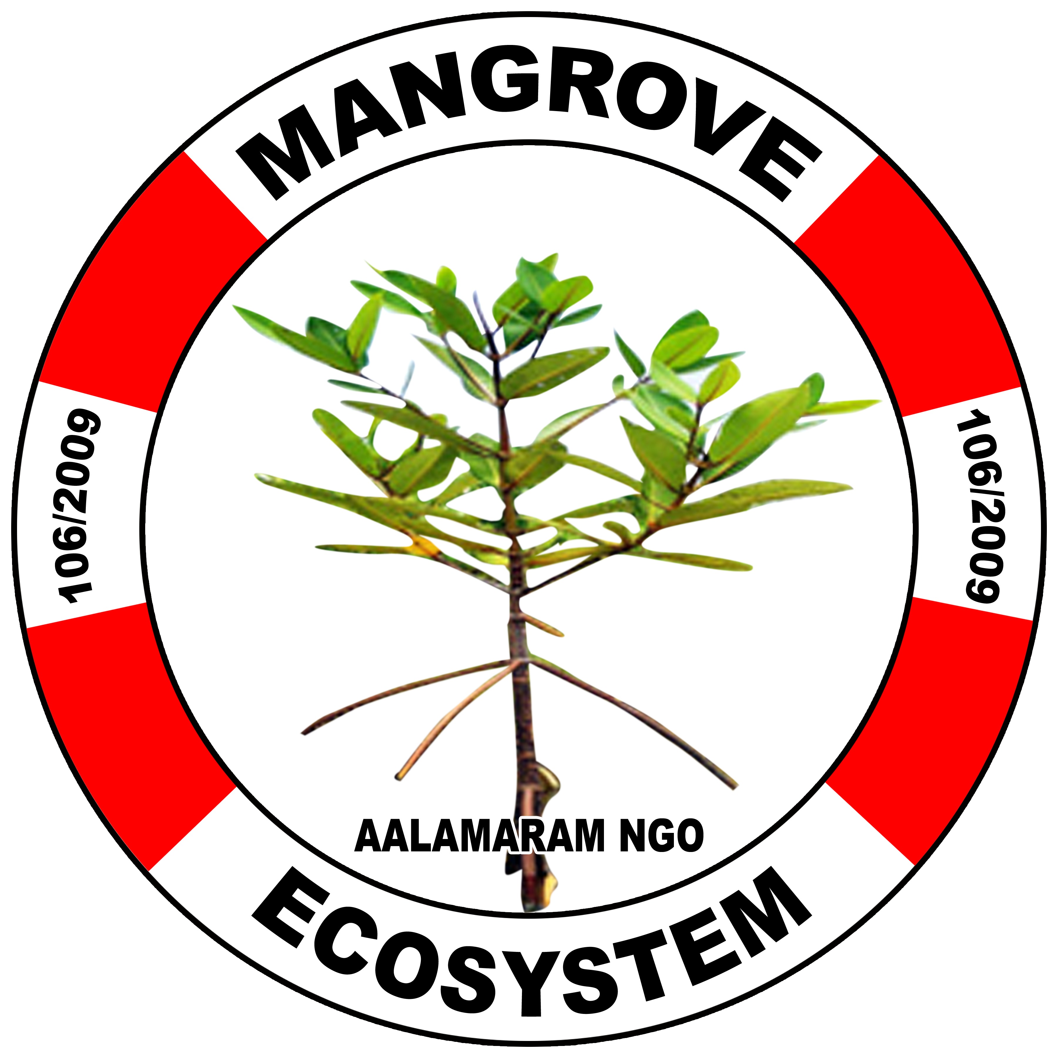 mangroves conservation