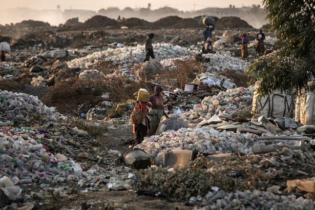 More than 8 BILLION tonnes of plastic produced since 1950s and most of it is landfill or litter