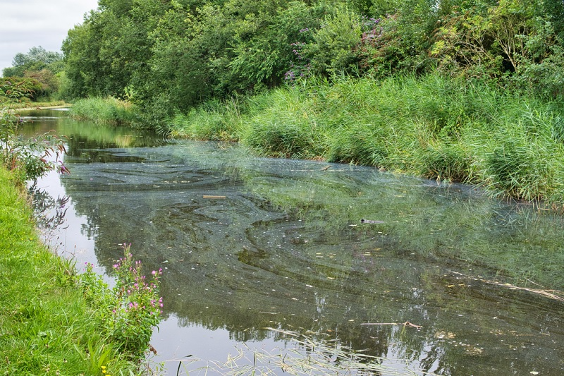 New technology for water quality monitoring