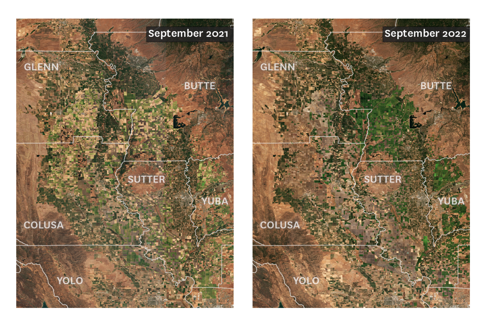 The rice capital of California is &lsquo;now just a wasteland.&rsquo; Satellite images show how bad it is