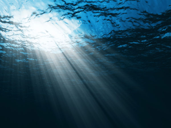 Dead Zone in the Indian Ocean Disturbs Marine Nutrient Balance