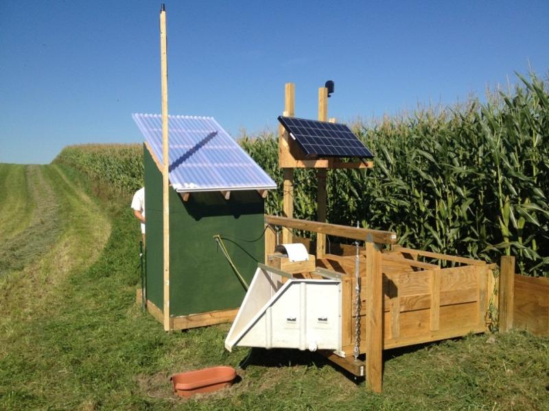 Dairy- Edge of Field Water Quality Monitoring