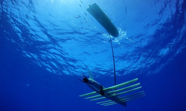 The Robots, Sensors and Satellites Digitizing the Ocean
