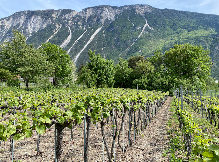 Integrated Water Management with Hi-Tech Solutions in Switzerland’s Valais