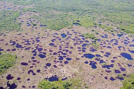 Rising Seas May Swamp Everglades Restoration Plan