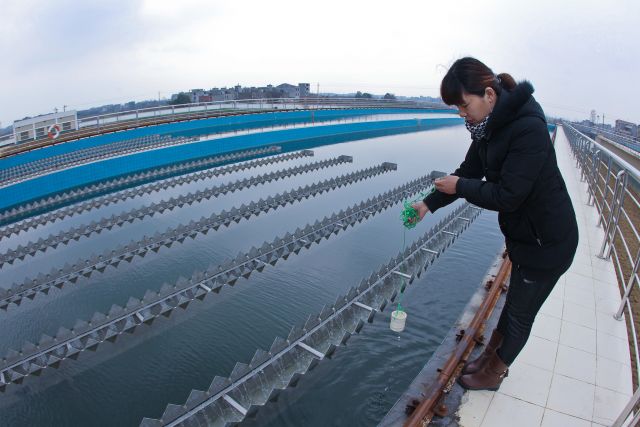 Women Are the Secret Weapon for Better Water Management