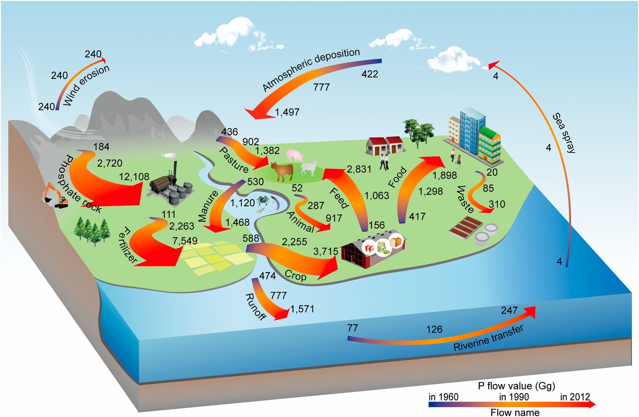 The History of China as Told Through Phosphorus