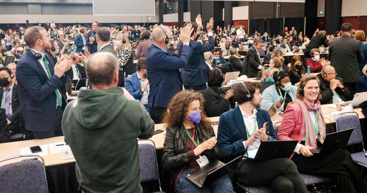 Historic biodiversity agreement reached at U.N. conference Negotiators reached a historic deal at a United Nations biodiversity conference early...