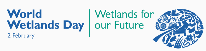 http://www.worldwetlandsday.org/