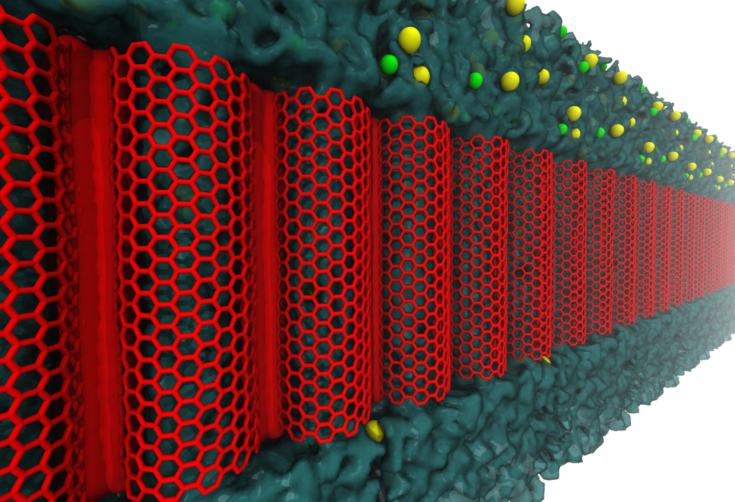 New Carbon Nanotube Immobilized Membrane