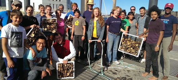 Manhattan Oyster Project