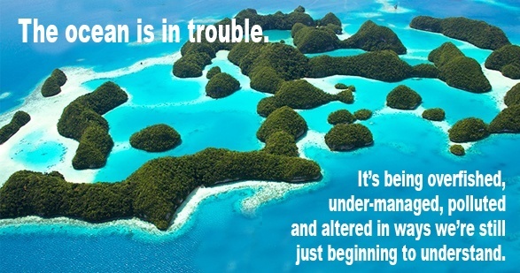 3 Ways UN Leaders Can Restore the World's Oceans