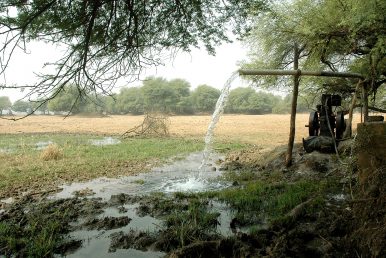 From Evidence to Policy in India’s Groundwater Crisis