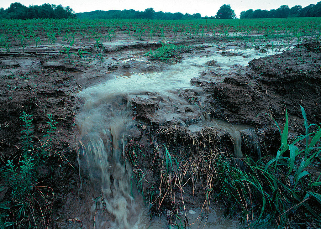 Fertilizer applied to fields today will pollute water for decades