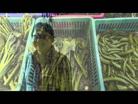 Simple Agricultural Innovation to Empower Farmers