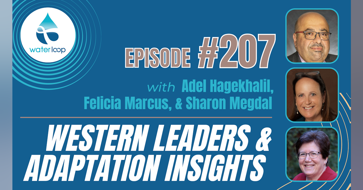 #207: Western Leaders & Adaptation Insights