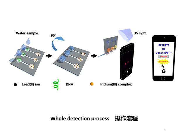 New Device for ​Quick and ​Accurate ​Detection of ​Lead