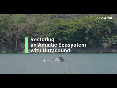 Restoring an Aquatic Ecosystem with Ultrasound