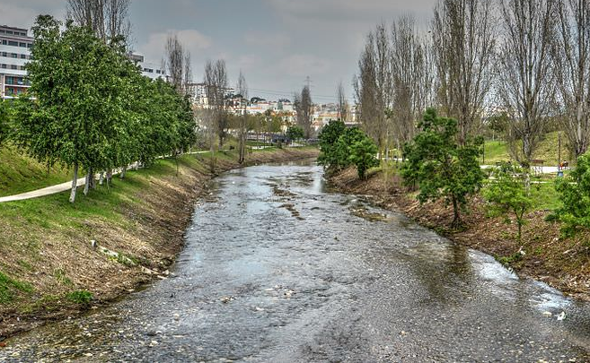 In Urban Streams, Pharmaceutical Pollution is Driving Microbial Resistance