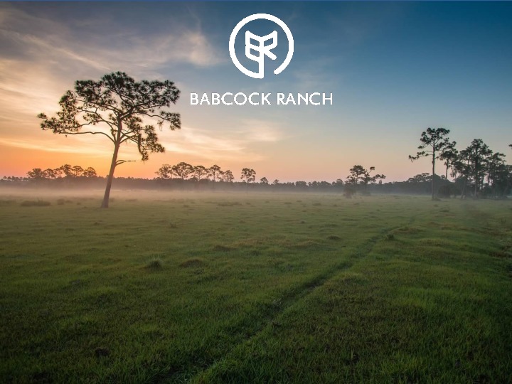Babcock Ranch Introduction
