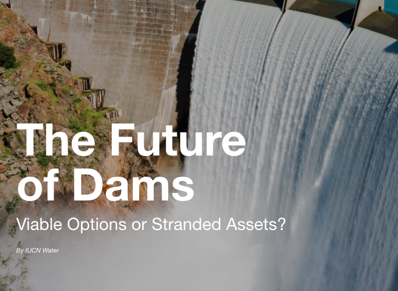 The Future of Dams Viable Options or Stranded Assets?